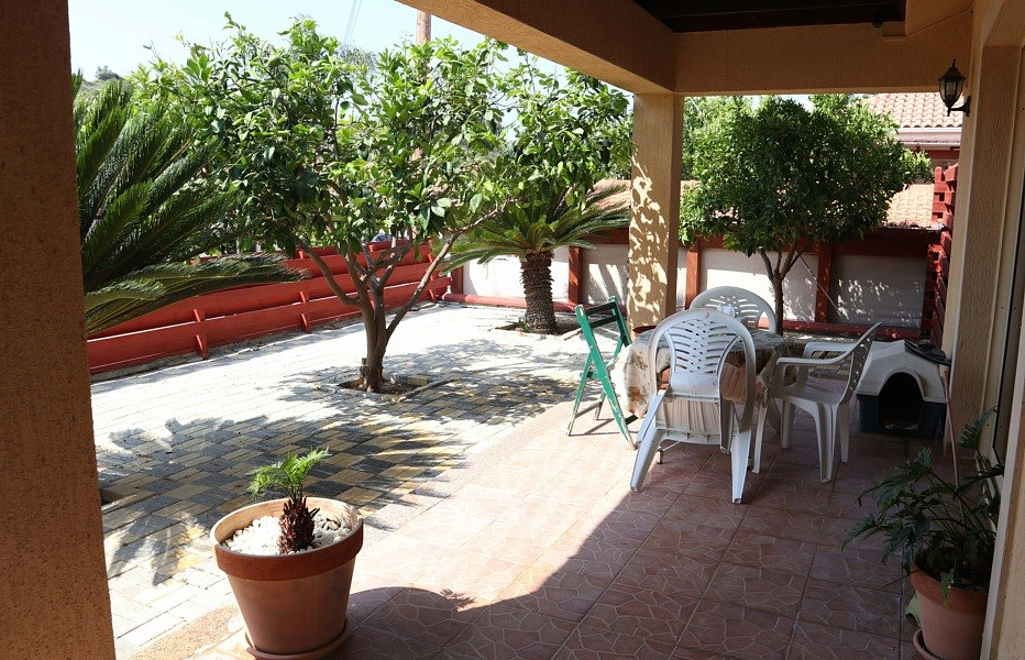 Photo 7