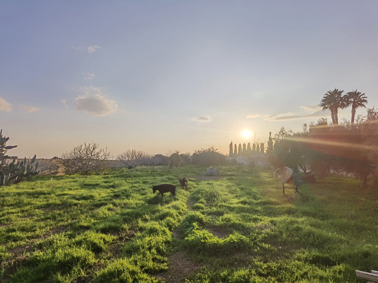 Фото 24 Фото 24