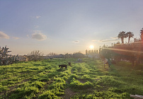 Фото 46 Фото 46