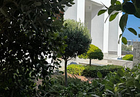 Photo 36