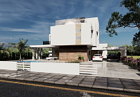 Photo 41