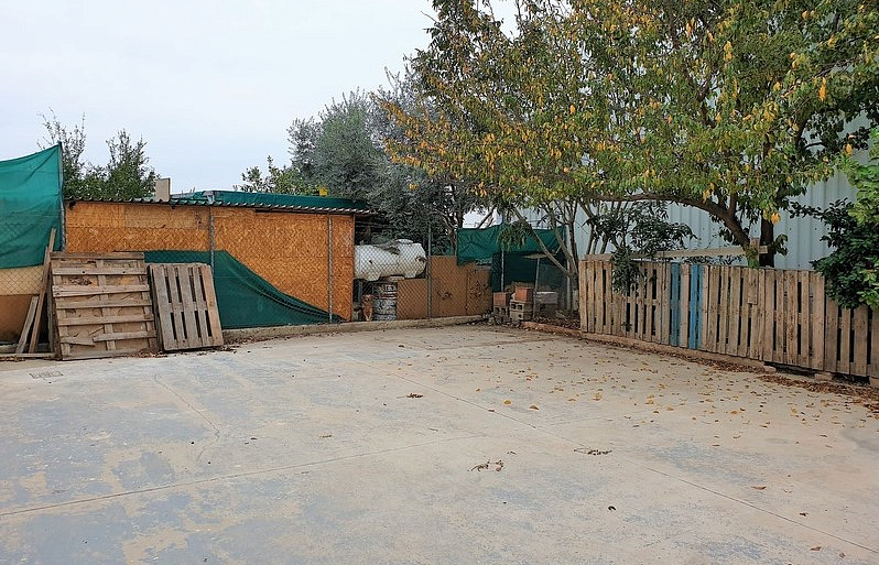 Photo 14
