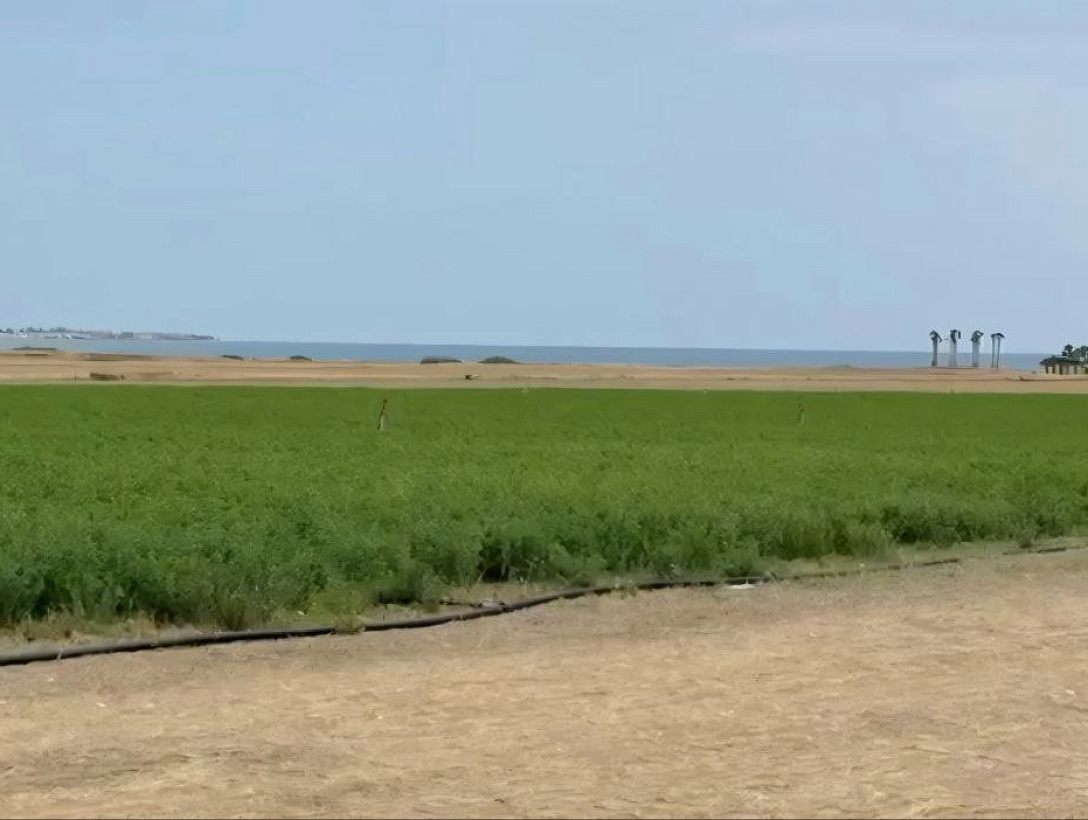 Земля в Ларнаке