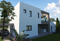 Photo 44