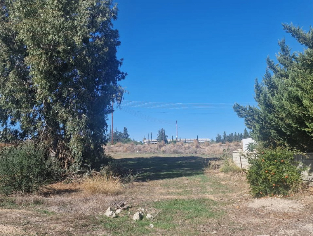 Land in Nicosia