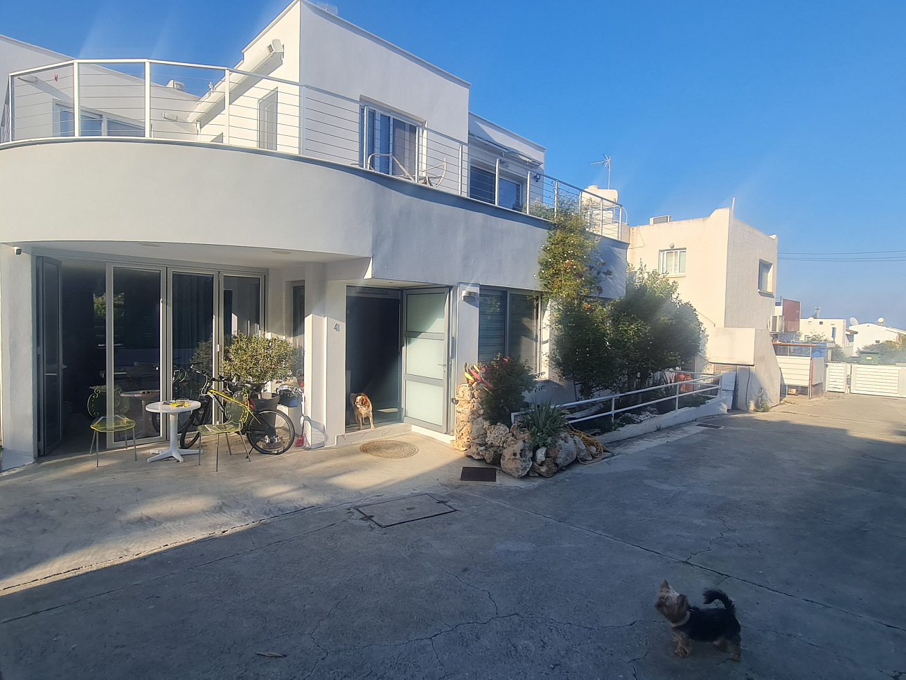 Photo 21