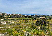 Фото 5