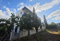 Photo 42