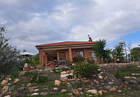 Photo 47