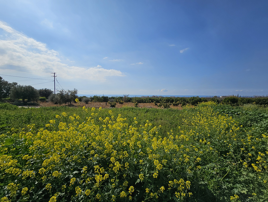 Land in Paphos