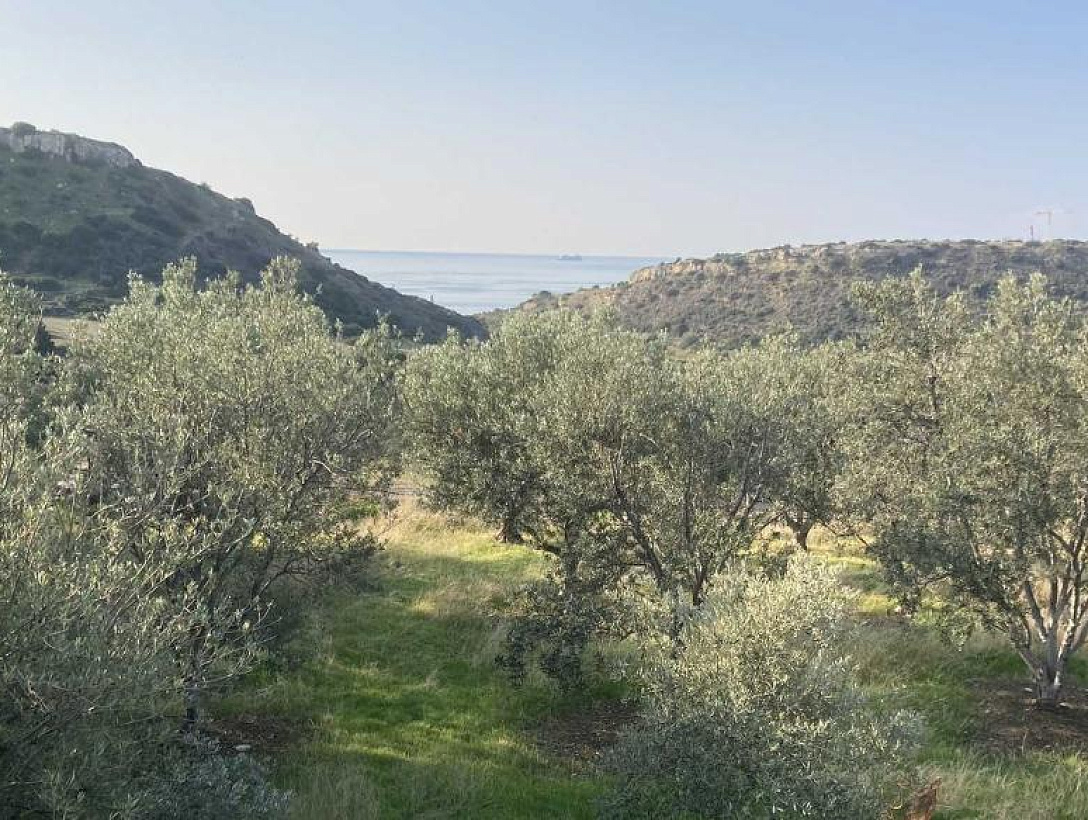 Land in Limassol