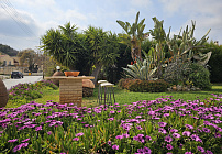 Photo 49