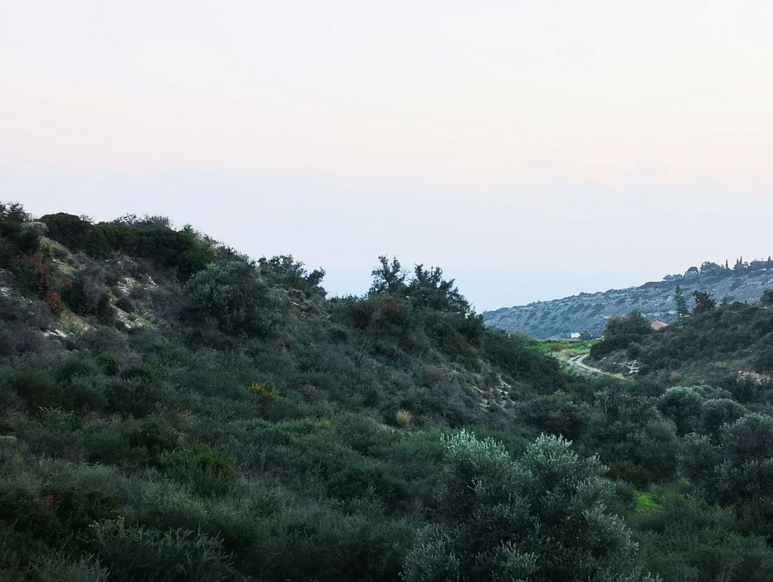Land in Limassol