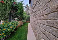Photo 49
