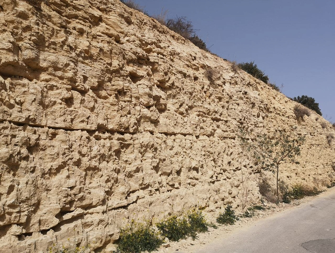 Land in Limassol