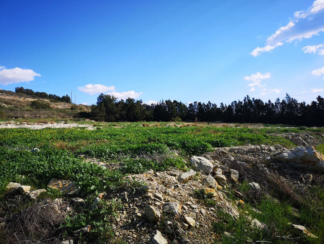 Land in Limassol