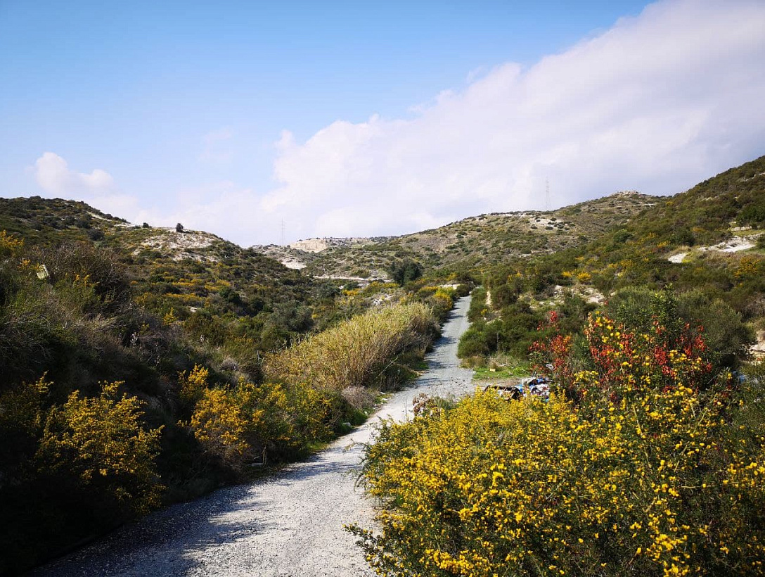 Land in Limassol