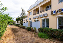 Photo 46