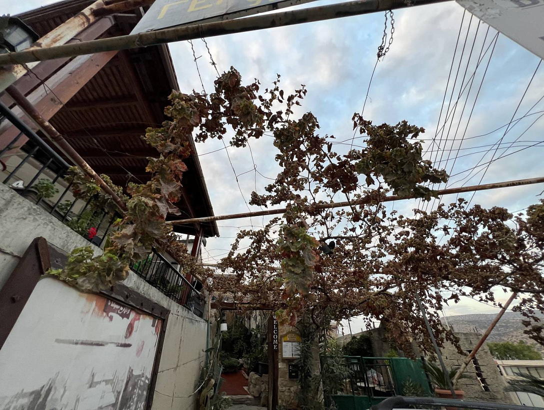 Land in Limassol