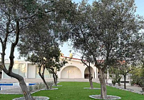 Photo 31