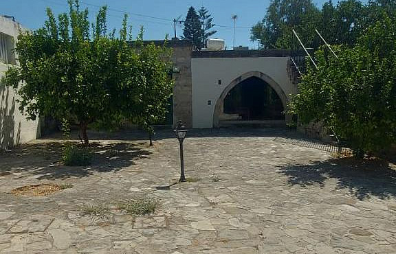 Photo 8