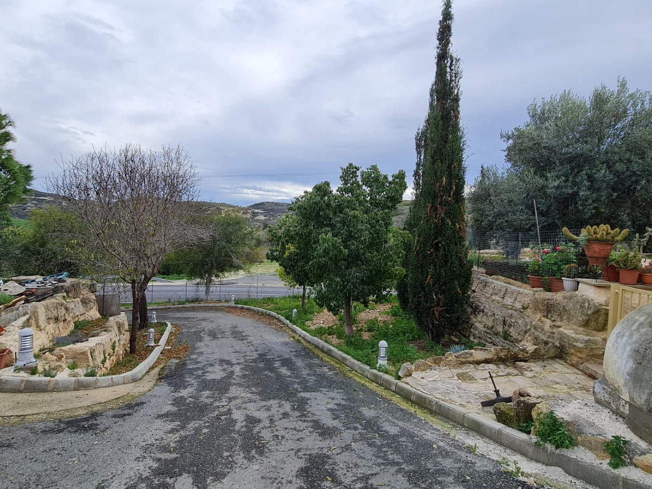 Photo 18