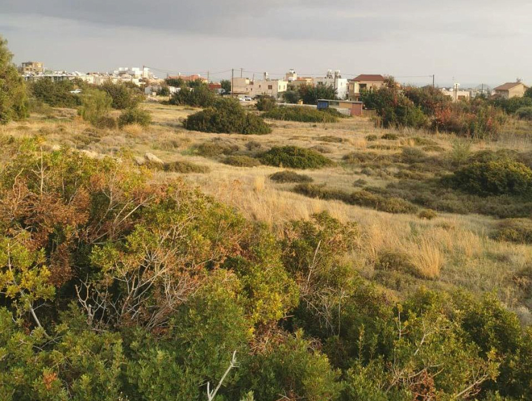 Land in Limassol
