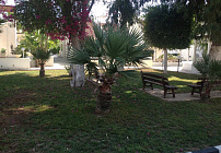 Photo 49