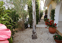 Фото 42 Фото 42