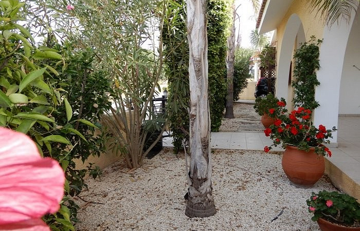 Фото 22 Фото 22