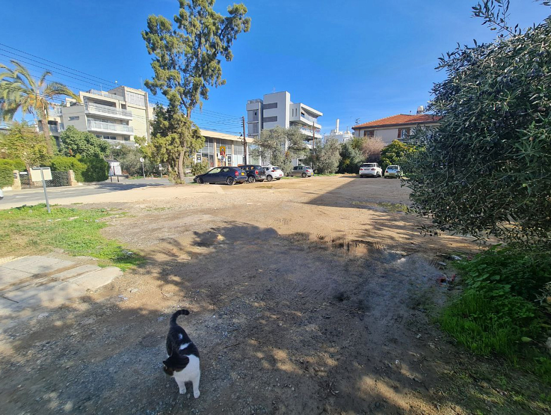 Land in Nicosia