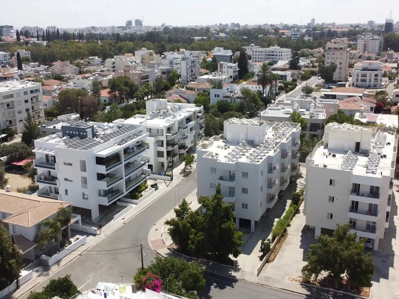 Фото 12 Фото 12