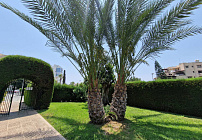 Photo 47