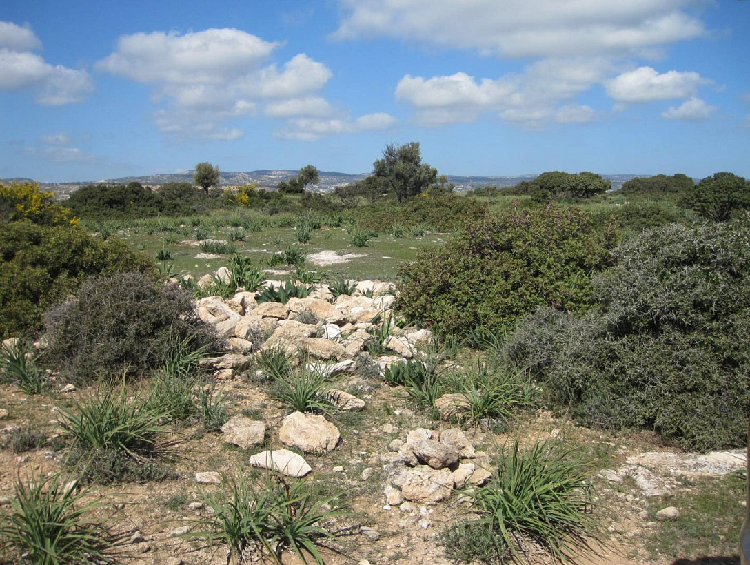 Land in Limassol