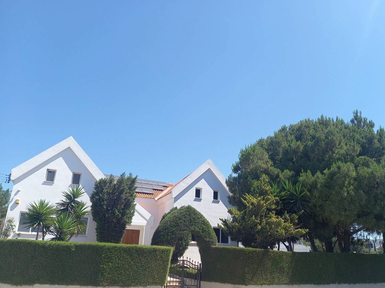 Photo 25