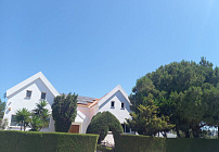 Photo 53