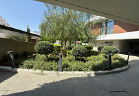 Photo 39