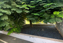 Фото 33