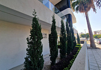Photo 46