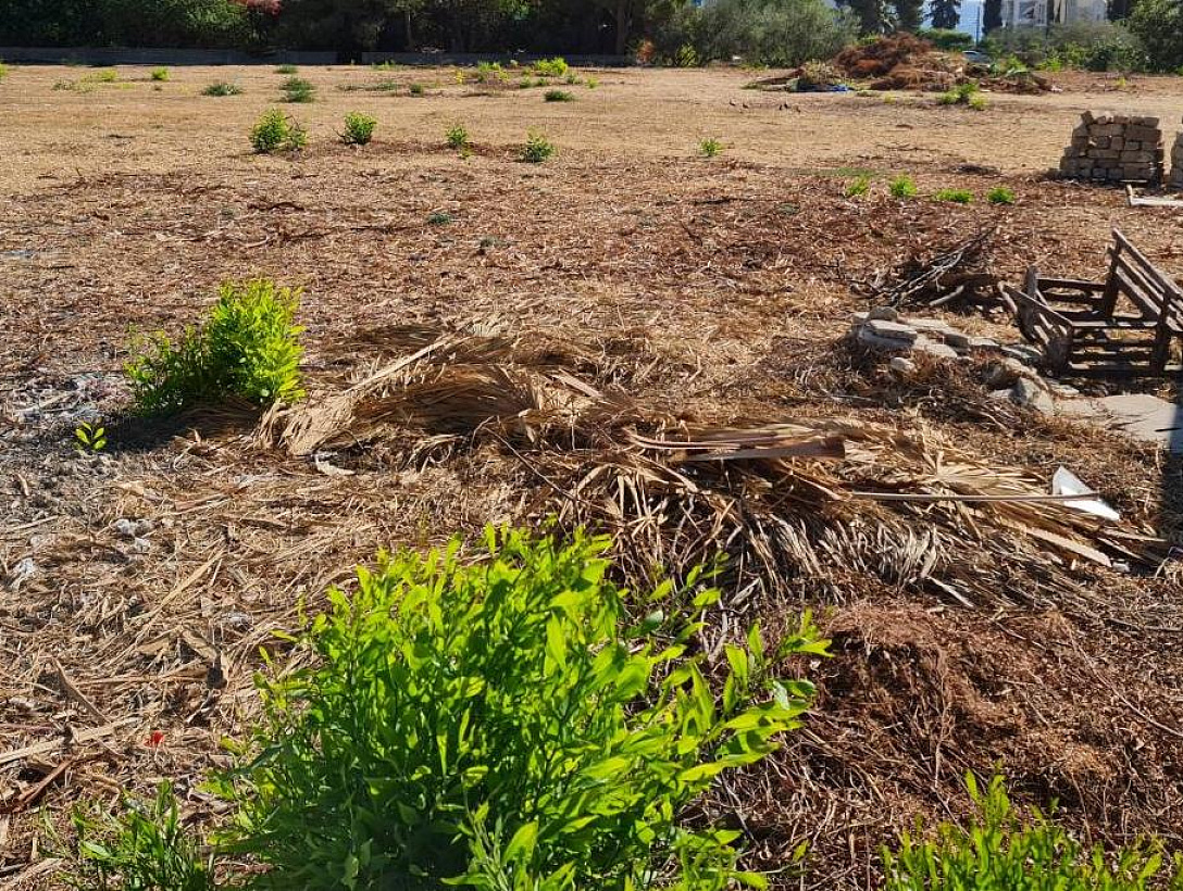 Земля в Лимассоле