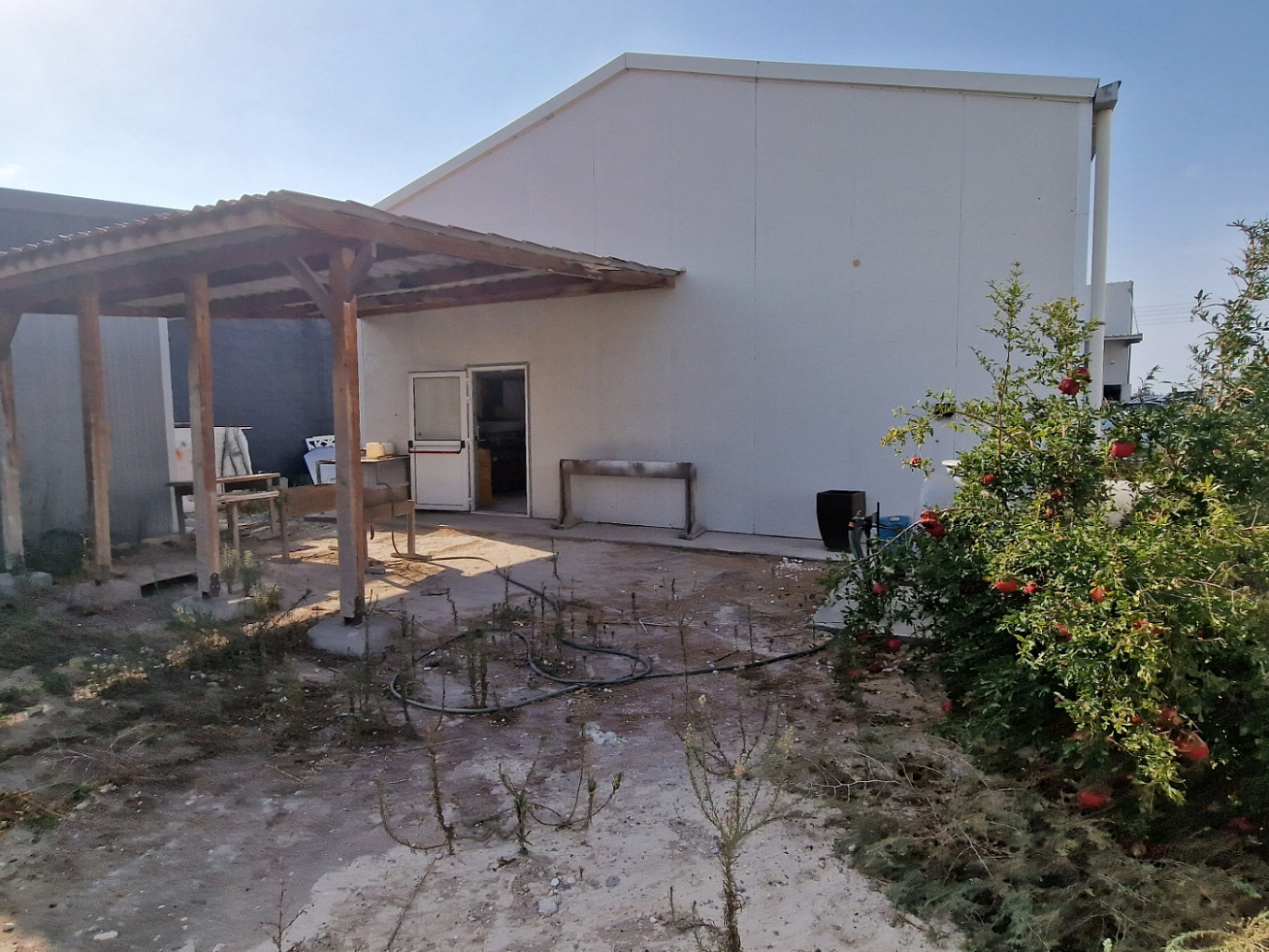 Photo 5