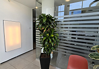 Фото 45