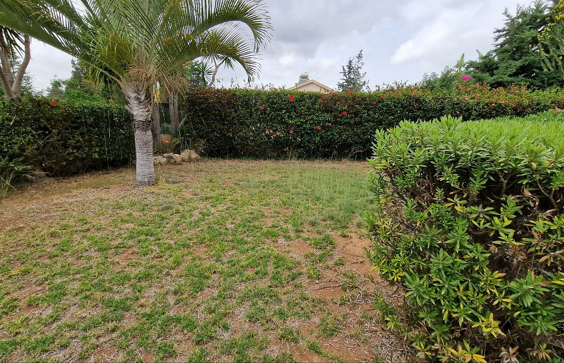 Photo 34