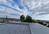 Photo 50