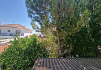 Photo 51