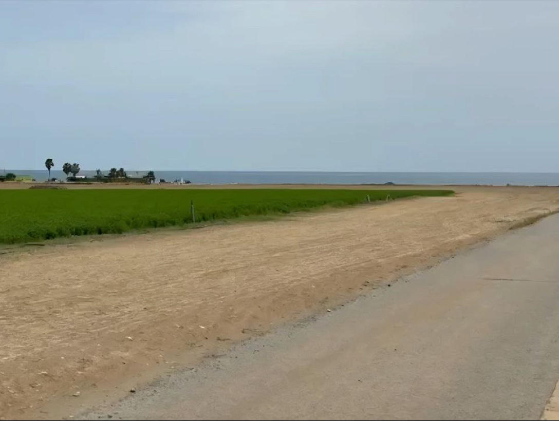 Земля в Ларнаке