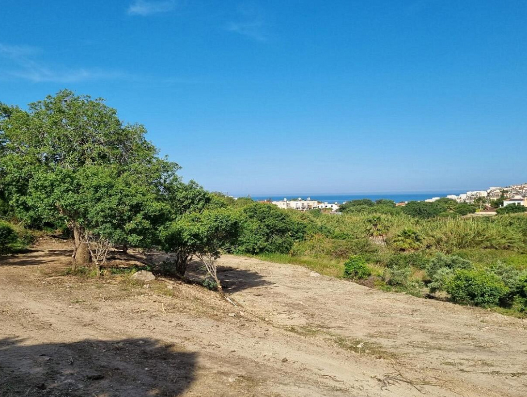 Land in Paphos