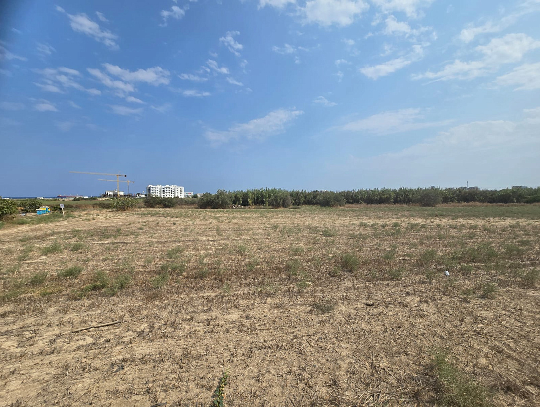 Земля в Ларнаке
