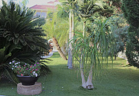 Photo 42