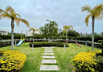Фото 43